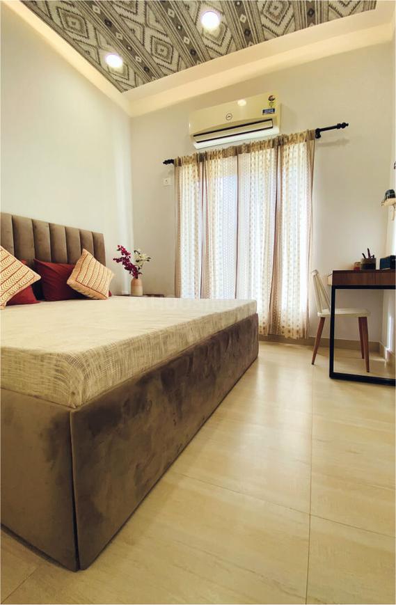 Beetle Orchid - Image 7