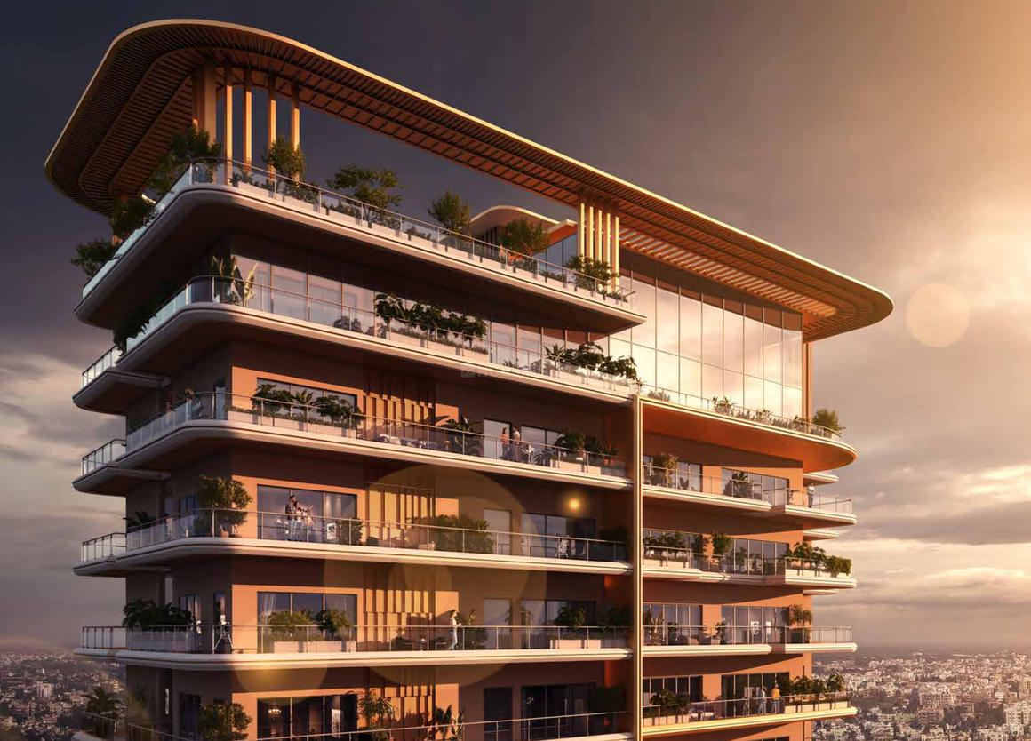 Ivory County Gold - Image 2