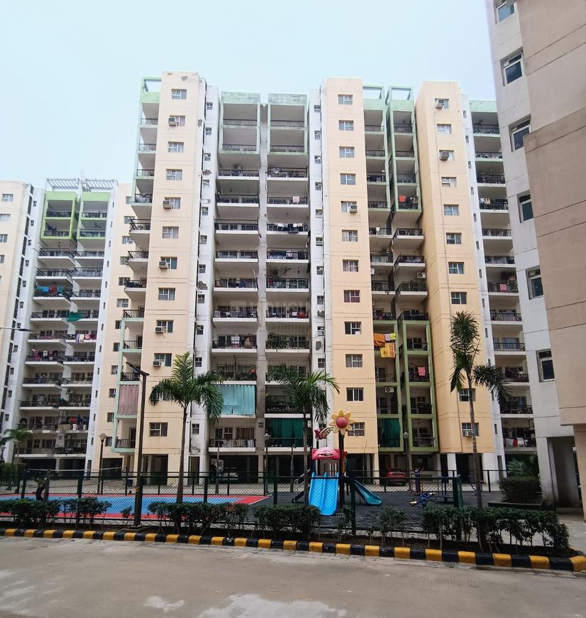 Orris Carnation Residency - Image 5