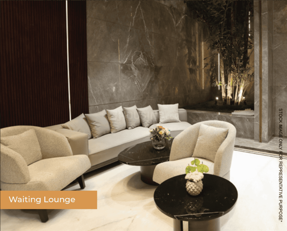 ACE Verde - Image 12