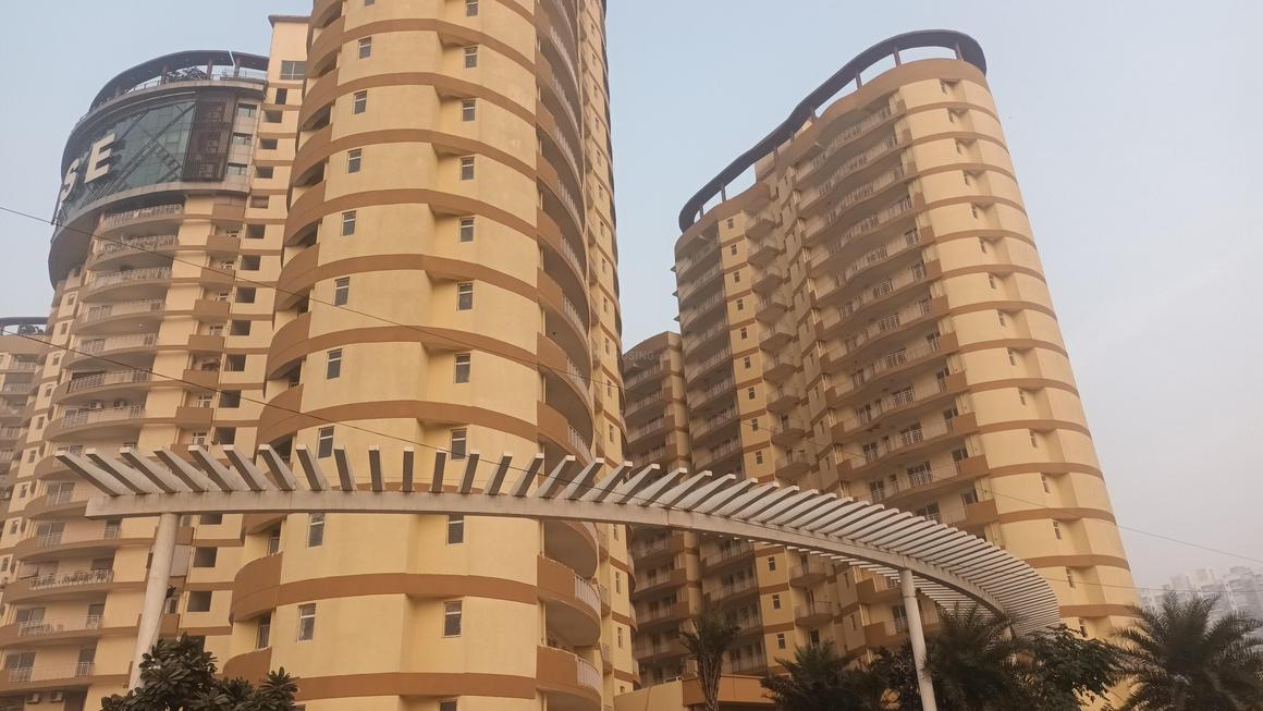 Rise Organic - Image 3