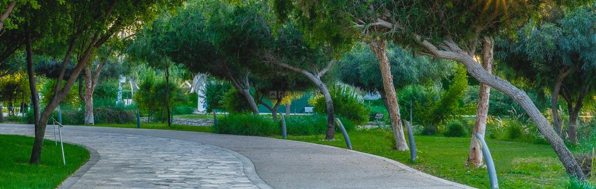 Express Zenith Tower A - Image 12