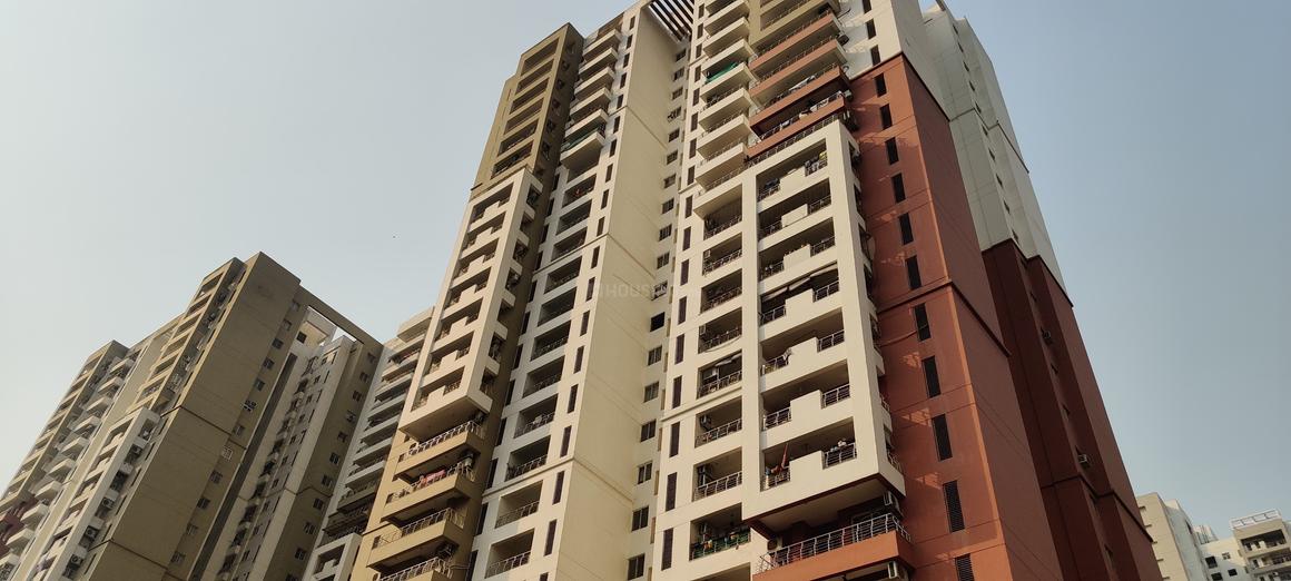 The 3C Lotus Panache - Image 3