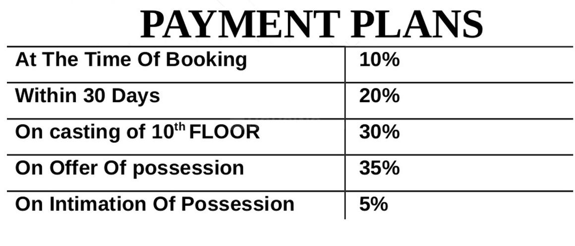 Town White Orchid - Image 20