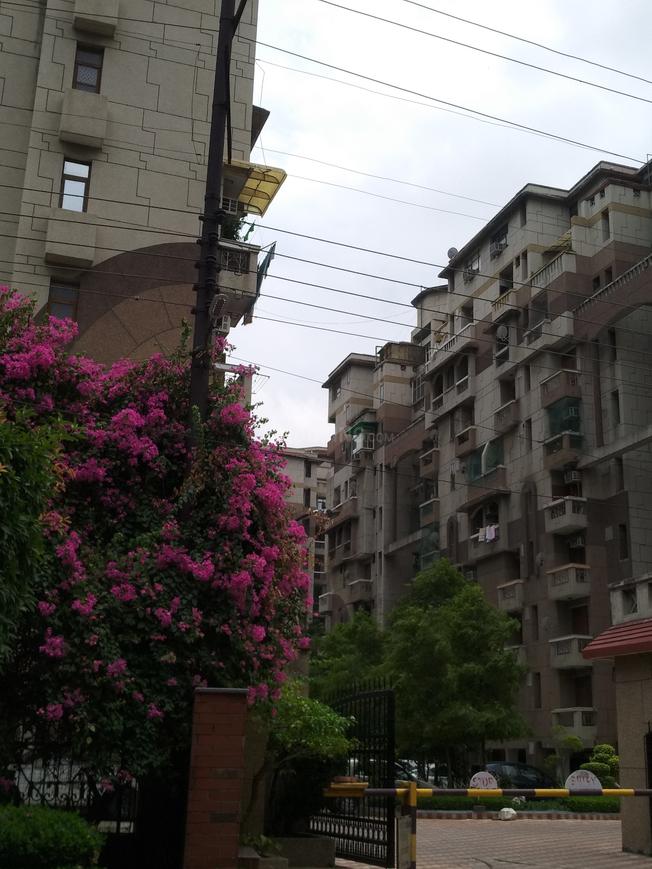 Purvanchal Kailash Dham - Image 8