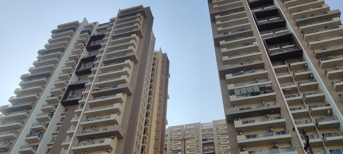 IVY County - Image 6