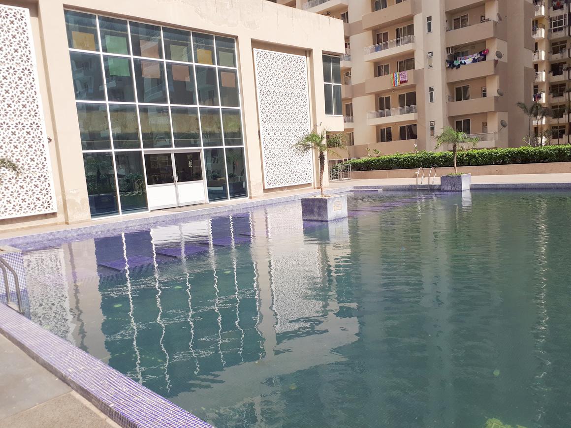 ACE Group Platinum Zeta 1 - Image 41