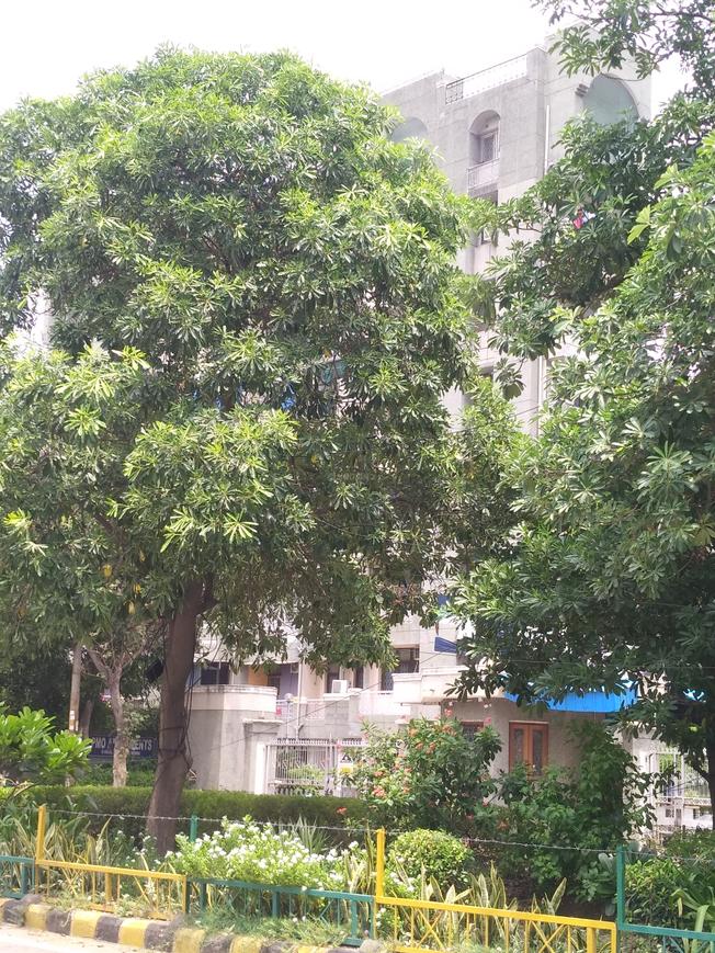 Purvanchal PMO Apartments - Image 9