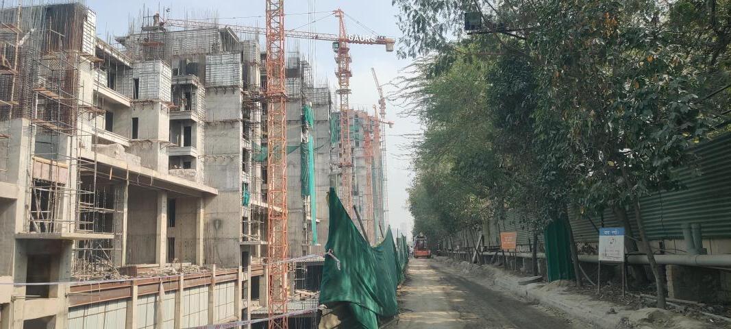 Gaurs The Islands - Image 29