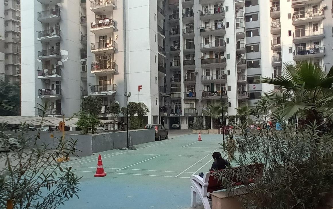 Skytech Matrott - Image 26