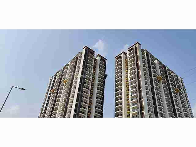 ABA Coco County - Image 24