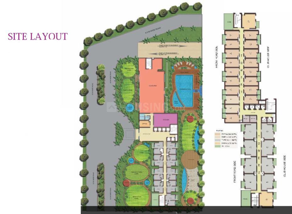 Beetle Orchid - Image 28