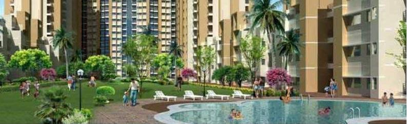 Today Kings Park - Image 17