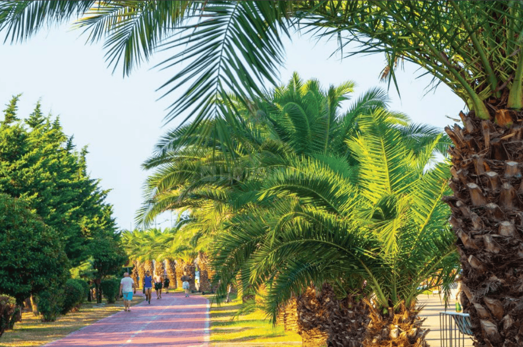 Calista Heights - Image 12