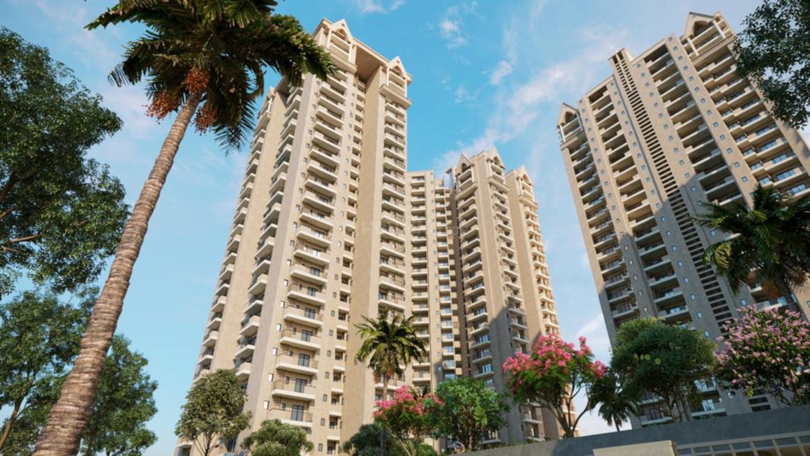 Apex Alphabet - Image 5