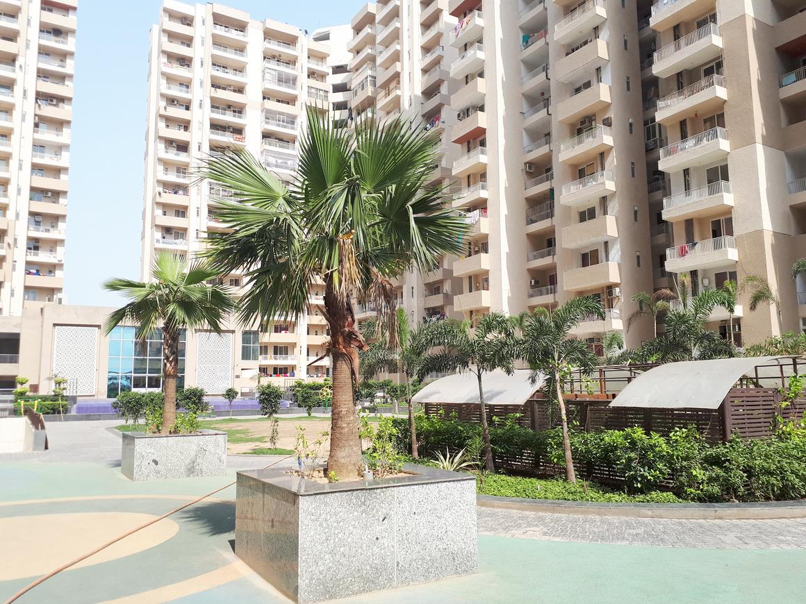 ACE Group Platinum Zeta 1 - Image 19