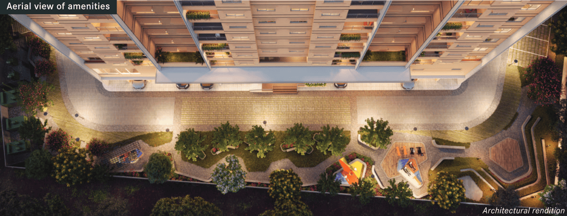 Century Novus - Image 7