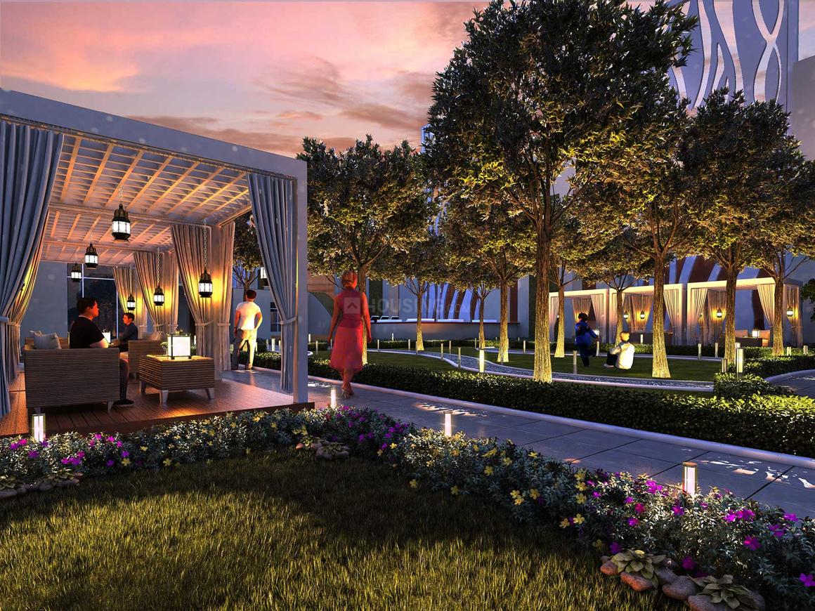 Saha Amadeus - Image 11