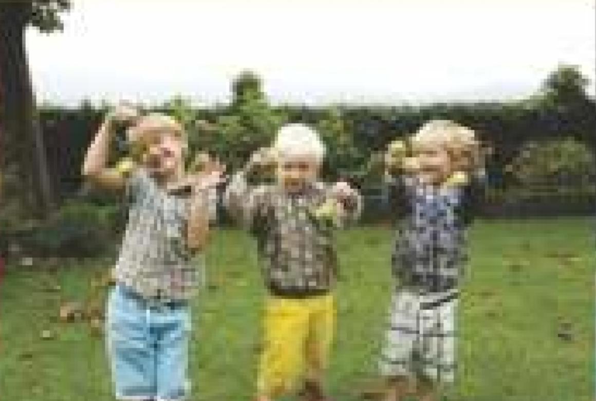 Today Kings Park - Image 18