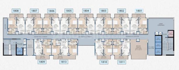 NBCC Dream Valley Highlife - Image 7