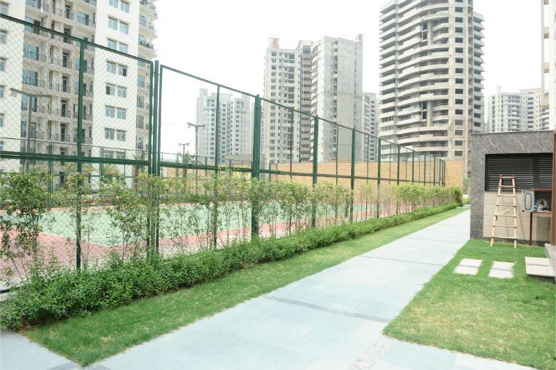 Sikka Karnam Greens - Image 37