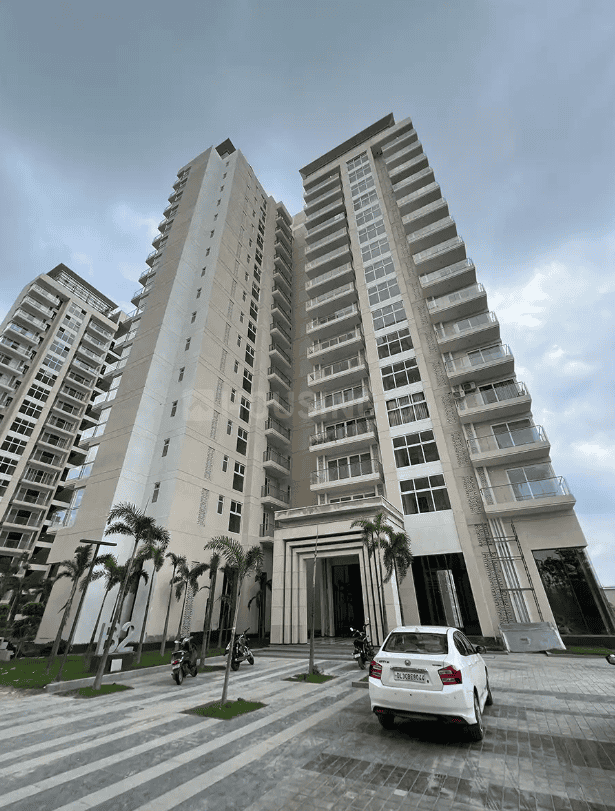 ACE Ace Starlit - Image 33