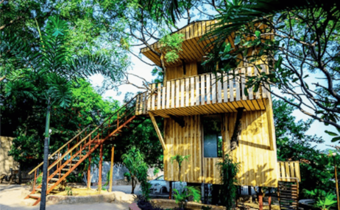 Evergreen Mango Orchad Tree Houses - Image 2