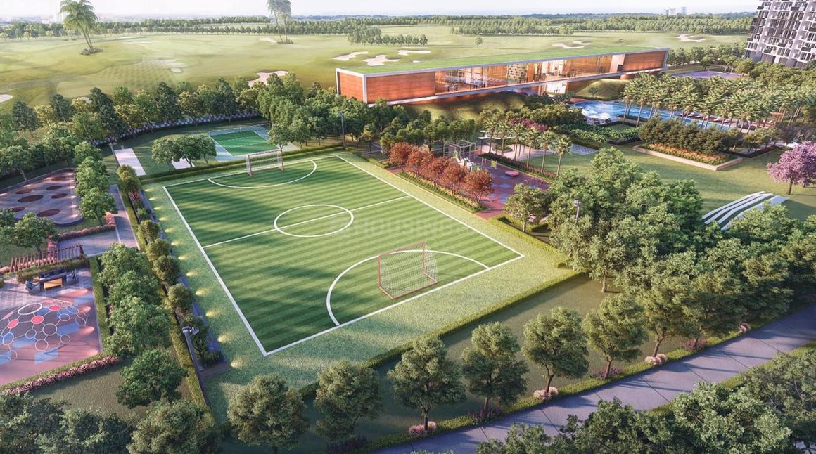 Prateek Canary - Image 21