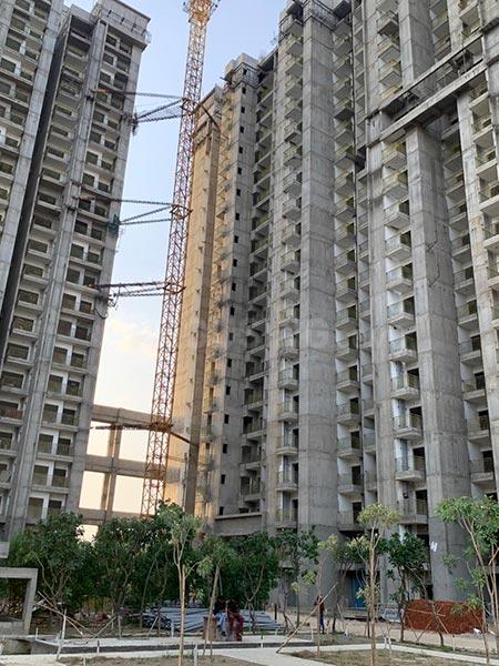 ACE Divino - Image 54