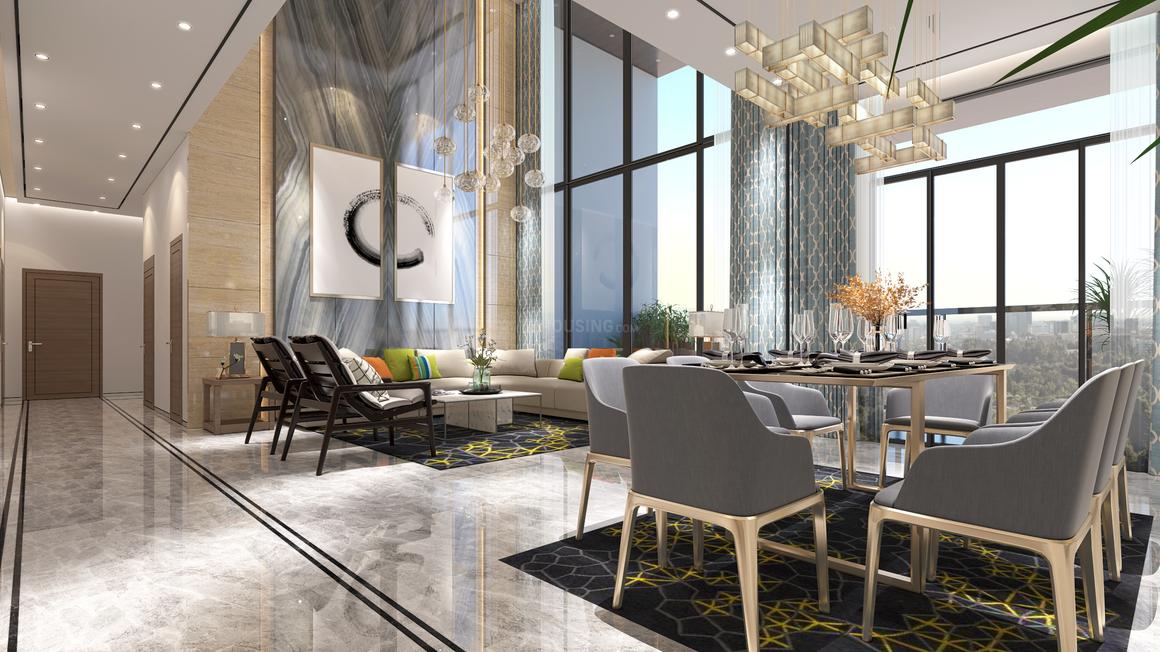 Apex D Rio - Image 17