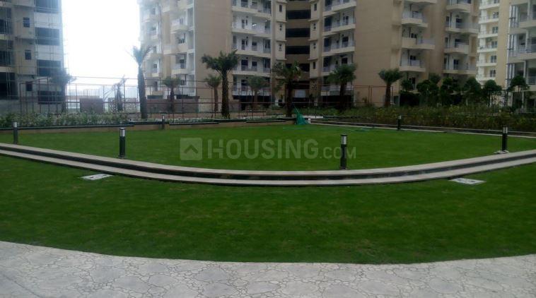 Ajnara Daffodil - Image 20