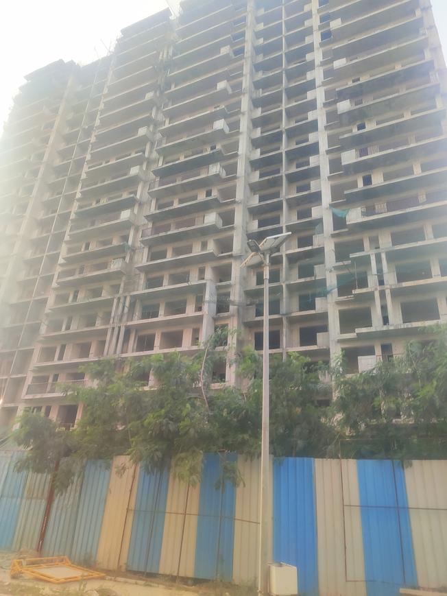 Prateek Canary - Image 50