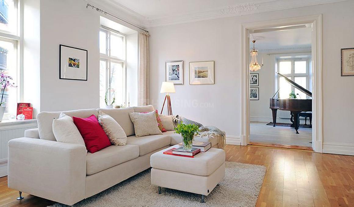 Apex Quebec - Image 6