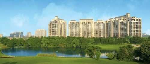 Lotus Greens Lotus Green - Image 3