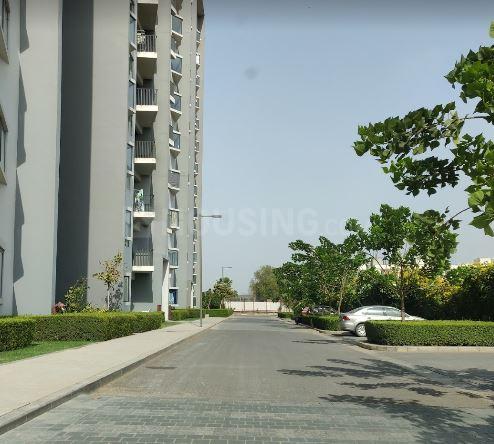 Ireo Skyon - Image 41