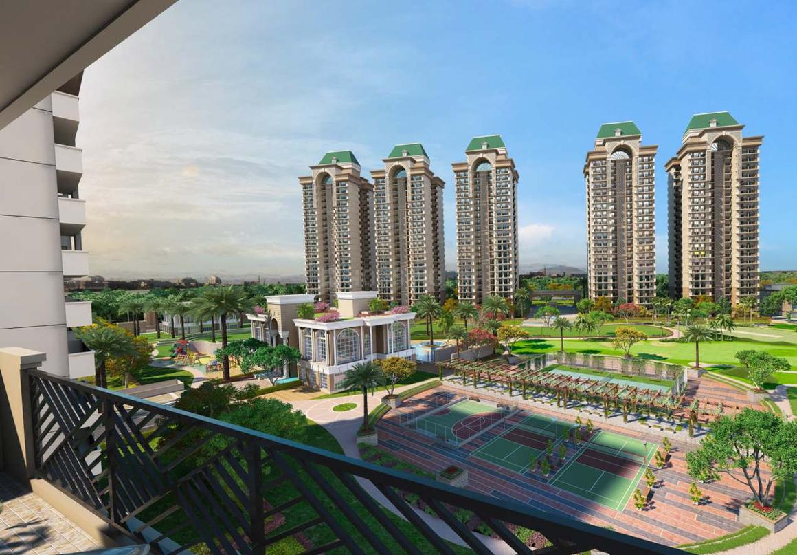 Sethi Venice - Image 13