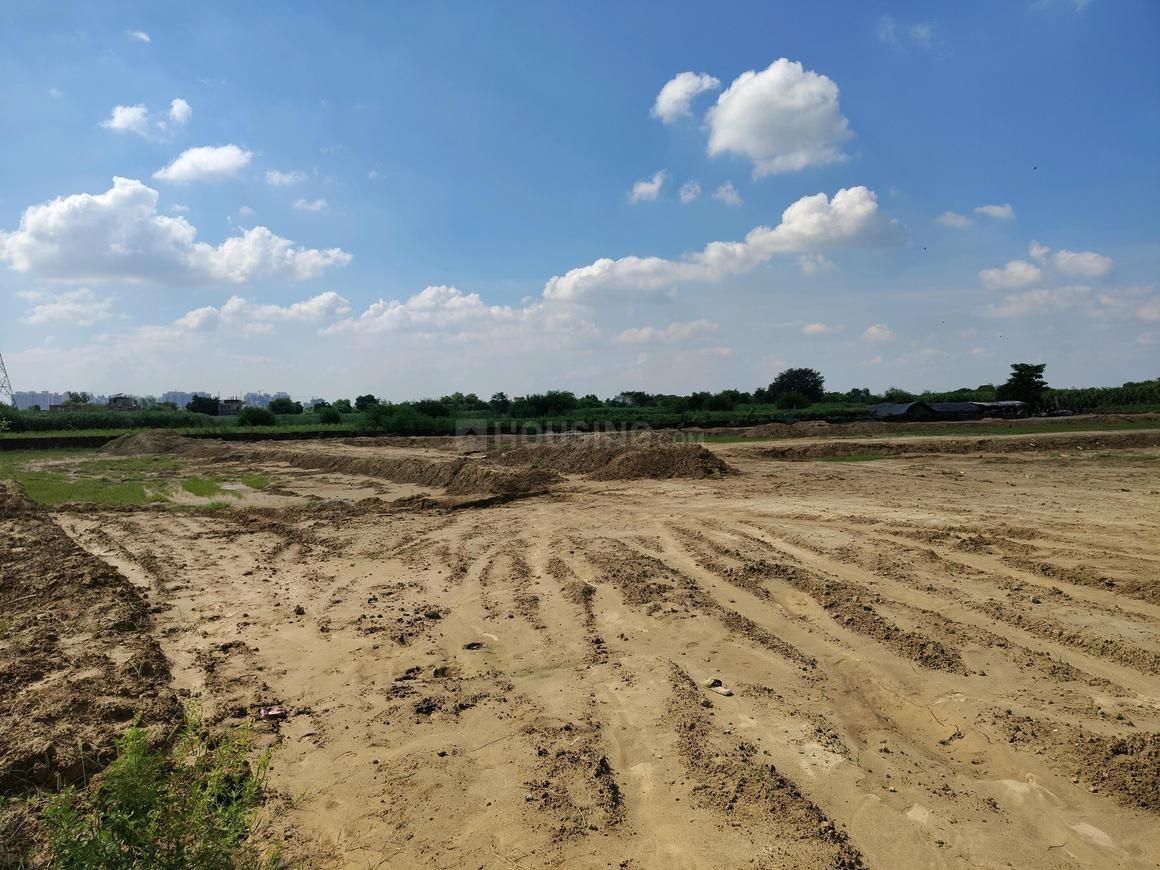 Virasat Royal Paradise Green - Image 2