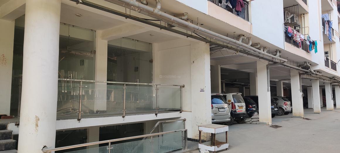 Aambesten Twin Celestial - Image 11