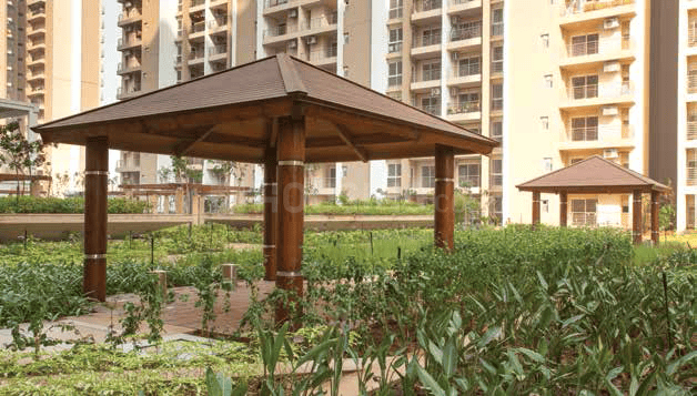 ABA Cleo Gold - Image 12