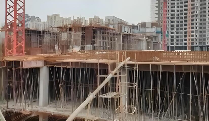 Ivory County Gold - Image 30