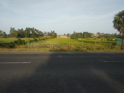 Residential Plot