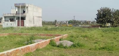Residential Plot