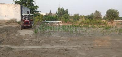 Residential Plot