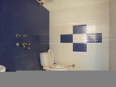 Bathroom Image of Paradise Girls PG in Sector 23