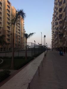 3 BHK Apartment