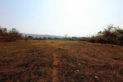Residential Plot