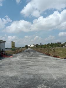 Residential Plot