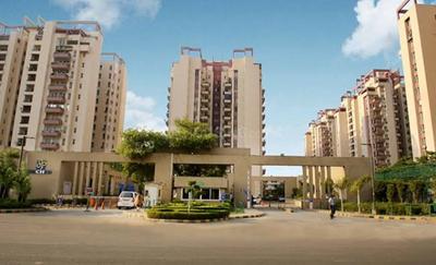 5 BHK Apartment