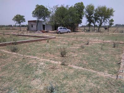Residential Plot