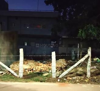 800 Sq.ft Residential Plot for Sale in Bheemasandra, Tumkur